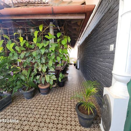 Kairali Palace Home Stay テッカディ エクステリア 写真