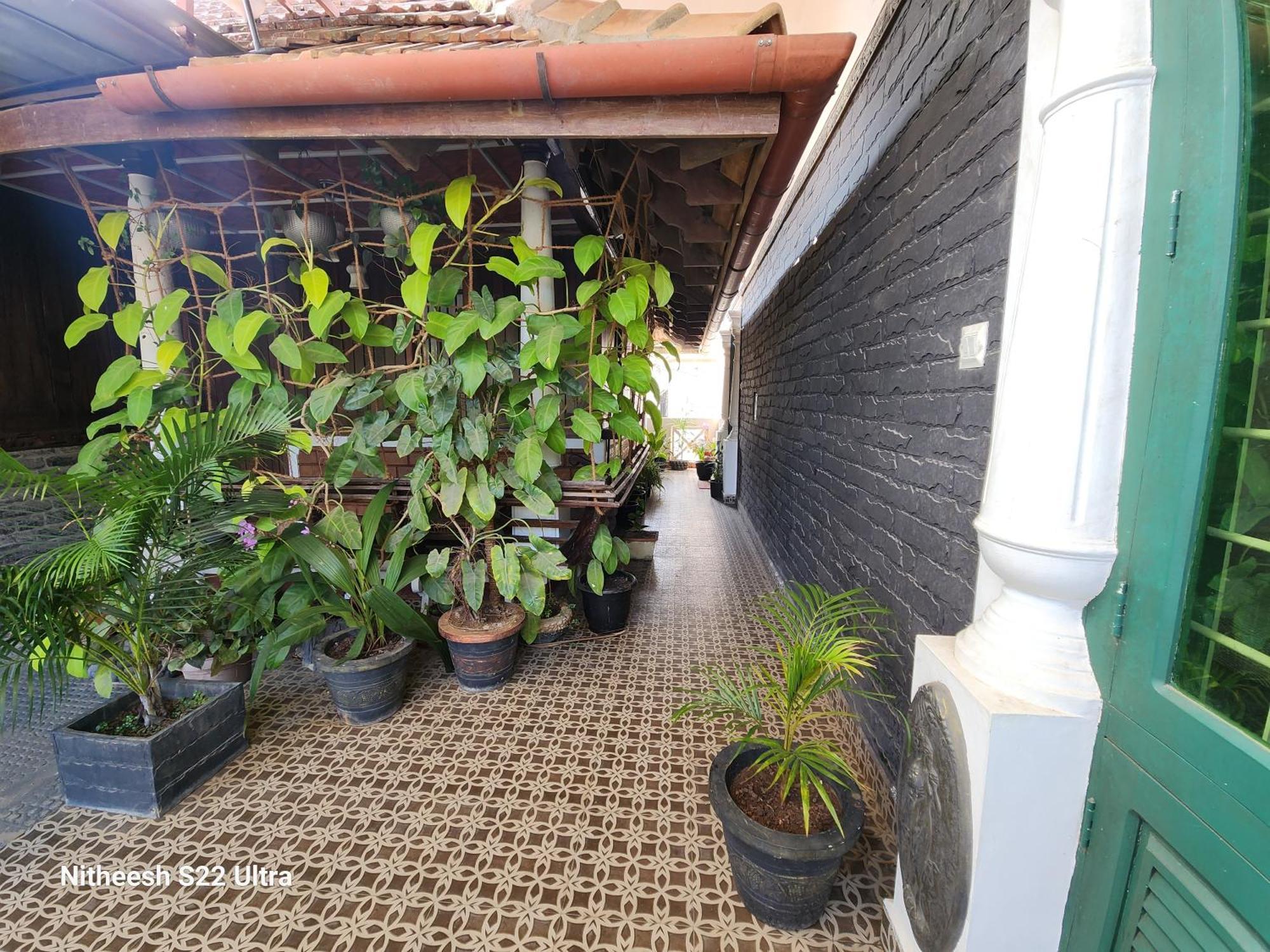 Kairali Palace Home Stay テッカディ エクステリア 写真